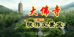最污黑人与白人屄网站中国浙江-新昌大佛寺旅游风景区